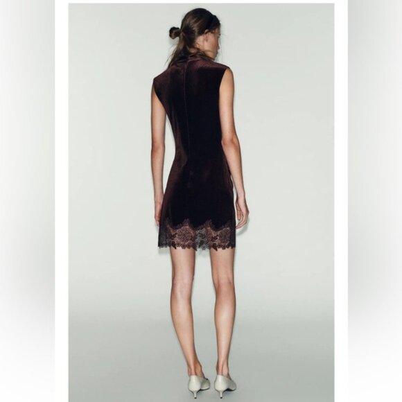 Zara VELVET LACE DRESS - Picture 6 of 7